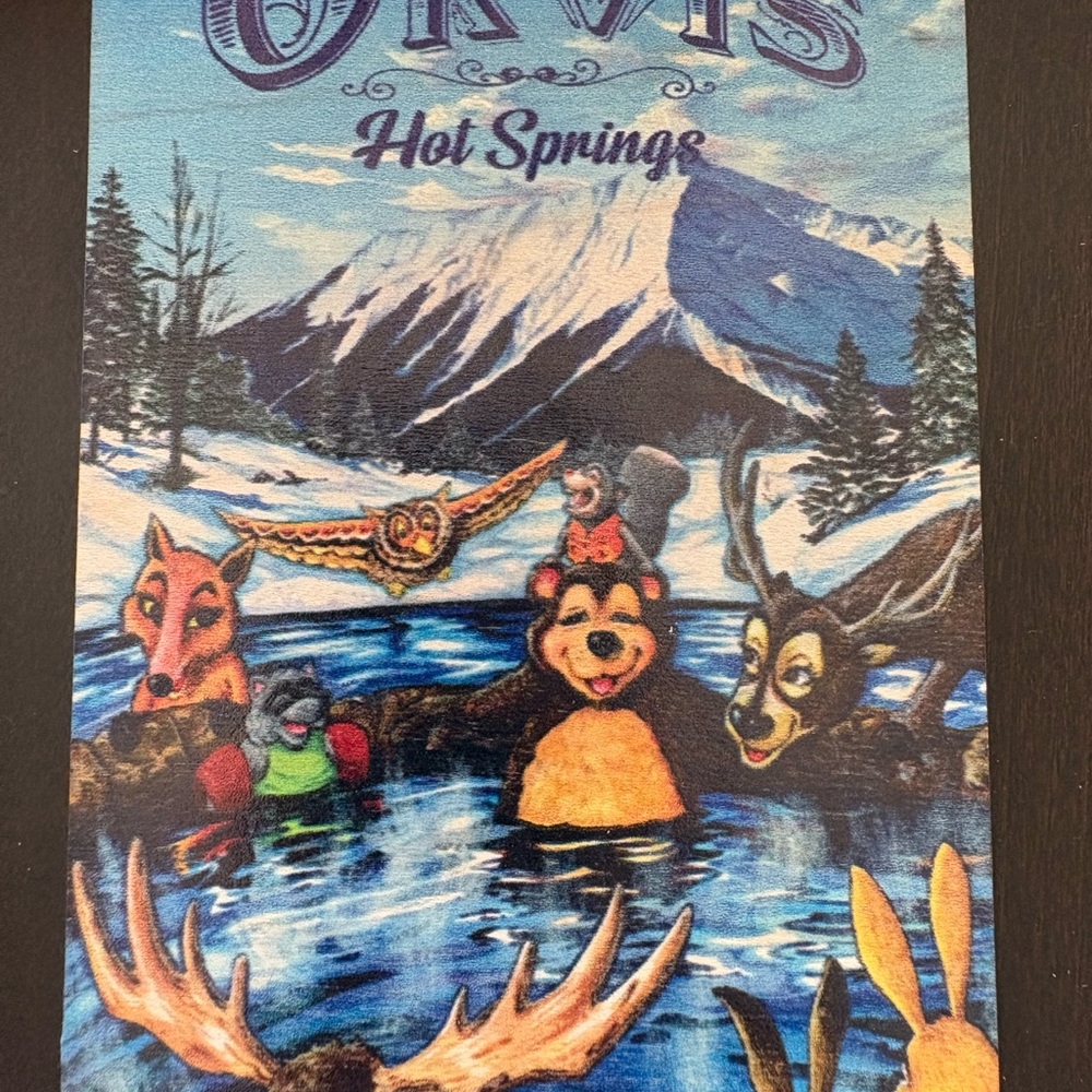Orvis Hot Springs Ridgeway Colorado Wooden Mailable Postcard Unique Souvenir